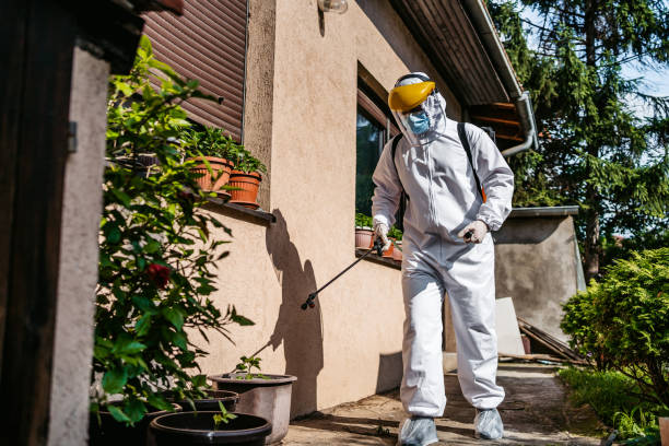Best Emergency Pest Control  in Clifton, TN