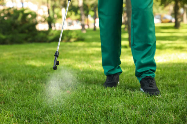 Best Residential Pest Control  in Clifton, TN