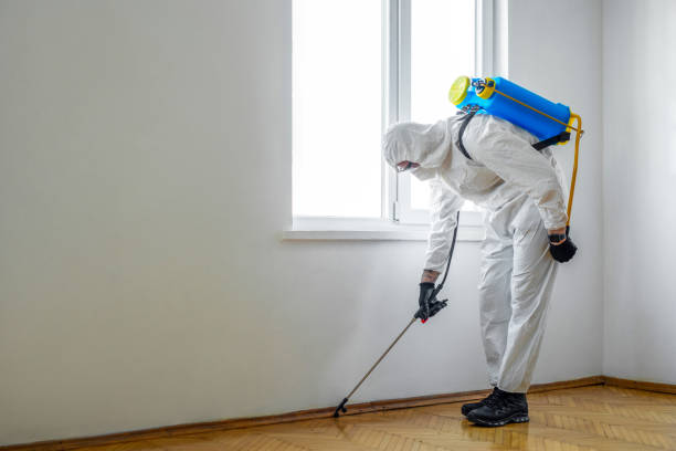 Insect Control in Clifton, TN