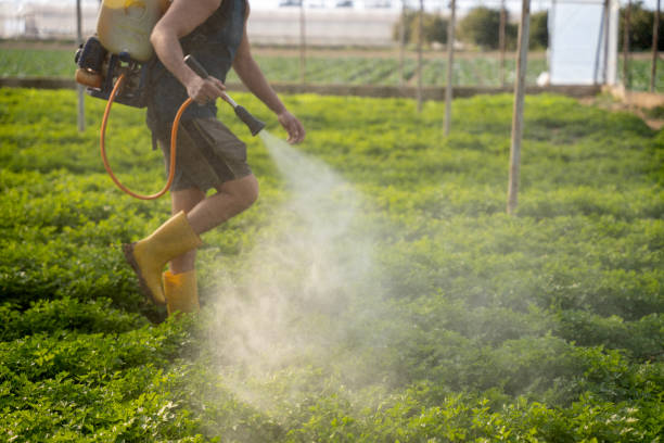 Best Best Pest Control Companies  in Clifton, TN