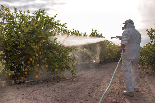 Best Pest Prevention Services  in Clifton, TN