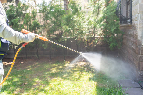 Best Affordable Pest Control Services  in Clifton, TN
