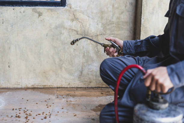 Best Wasp Removal Services  in Clifton, TN